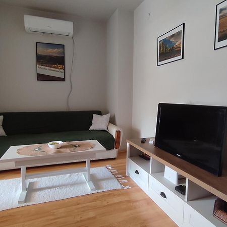 Vila Zora Apartman Banja Koviljaca Exterior photo