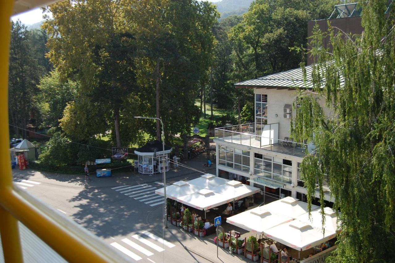 Vila Zora Apartman Banja Koviljaca Exterior photo