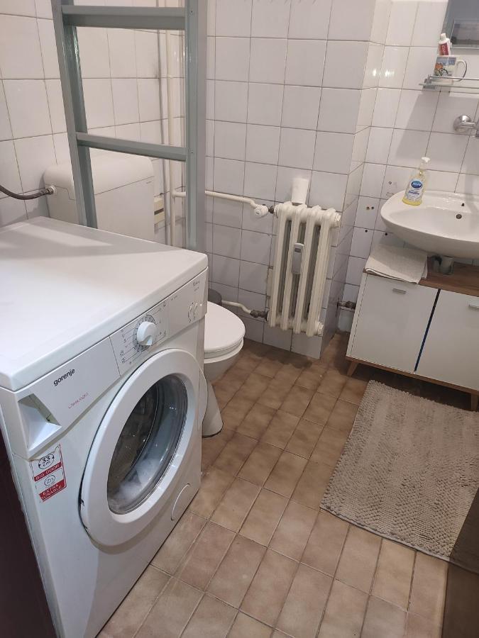 Vila Zora Apartman Banja Koviljaca Exterior photo