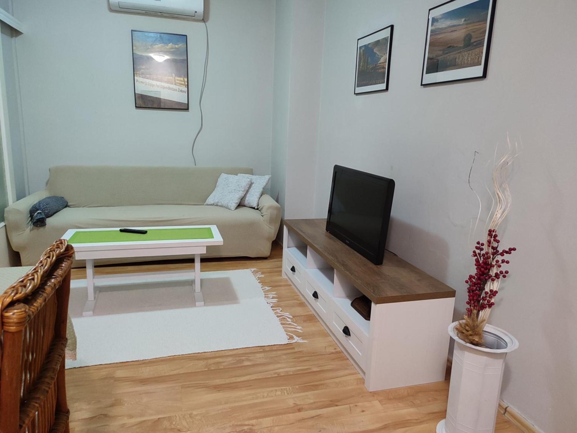 Vila Zora Apartman Banja Koviljaca Exterior photo